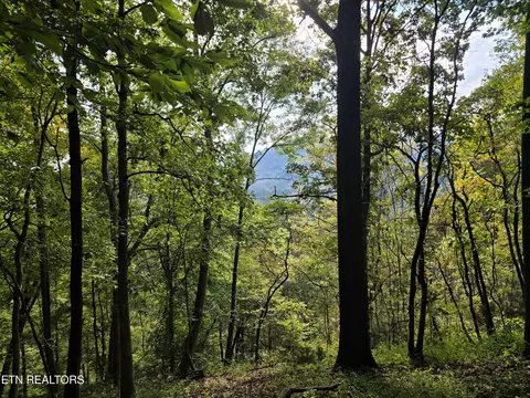 E Pumpkin Valley Rd, Eidson, TN 37731