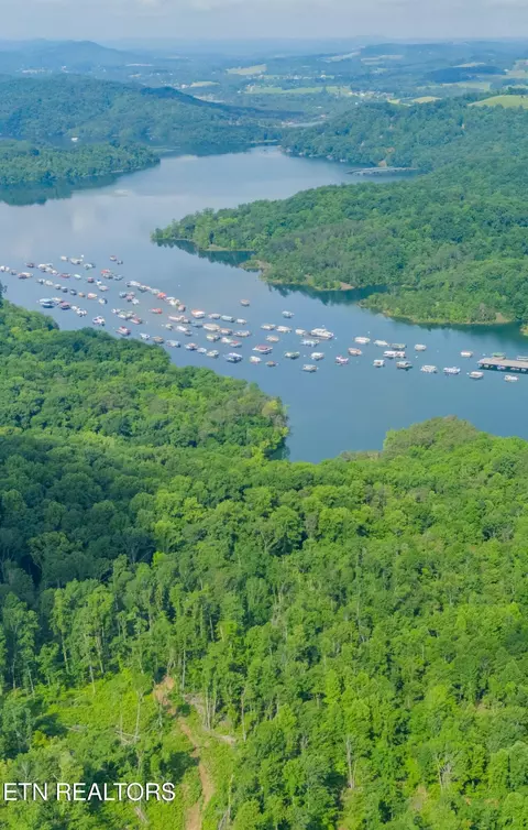 Lake Lane, New Tazewell, TN 37825