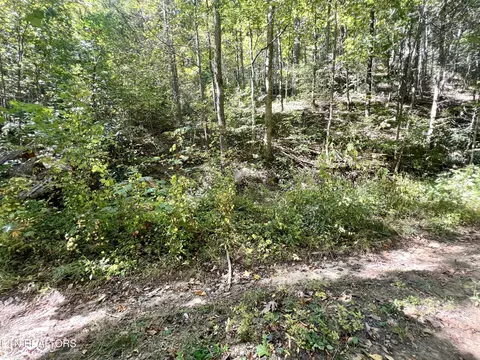 lot40 Lin Creek Rd, Sevierville, TN 37876