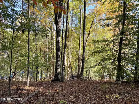 159 Pineridge Loop, Crossville, TN 38558