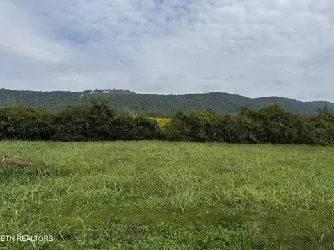 0 Eagle Bluff Rd, Jacksboro, TN 37757 photo 8