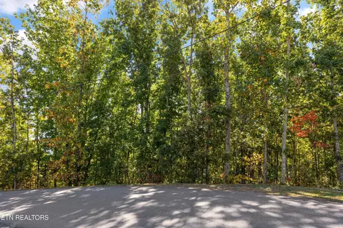 Off Sharp Road/shell Mountain, Sevierville, TN 37876 photo 23