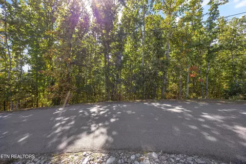 Off Sharp Road/shell Mountain, Sevierville, TN 37876 photo 22