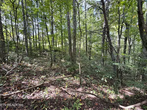 lot25 East Dr, Parrottsville, TN 37843