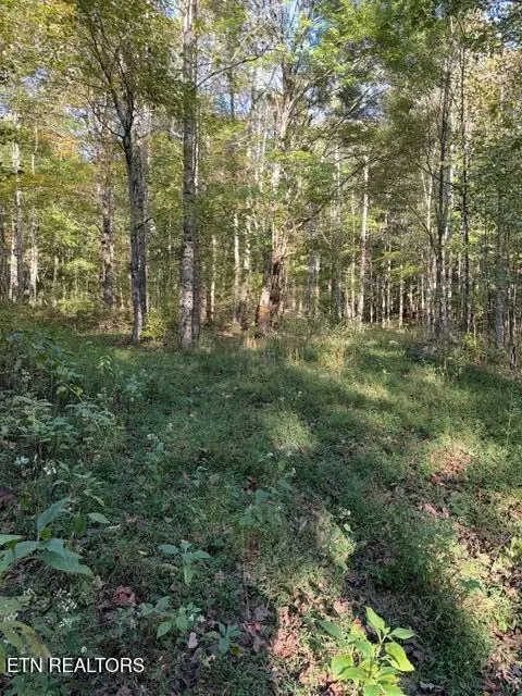 739 Dry Branch Rd, Ewing, VA 24248 photo 21