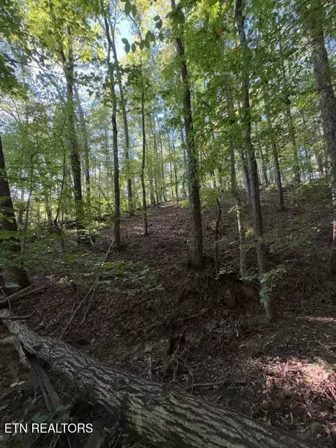 739 Dry Branch Rd, Ewing, VA 24248 photo 31