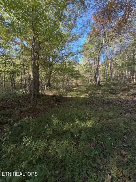 739 Dry Branch Rd, Ewing, VA 24248 photo 17