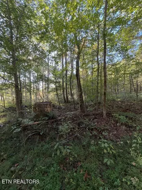 739 Dry Branch Rd, Ewing, VA 24248 photo 18