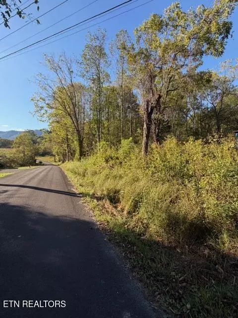 739 Dry Branch Rd, Ewing, VA 24248 photo 47