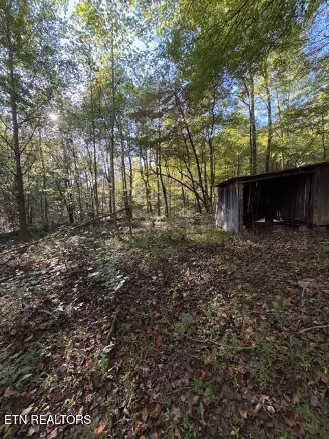 739 Dry Branch Rd, Ewing, VA 24248 photo 26