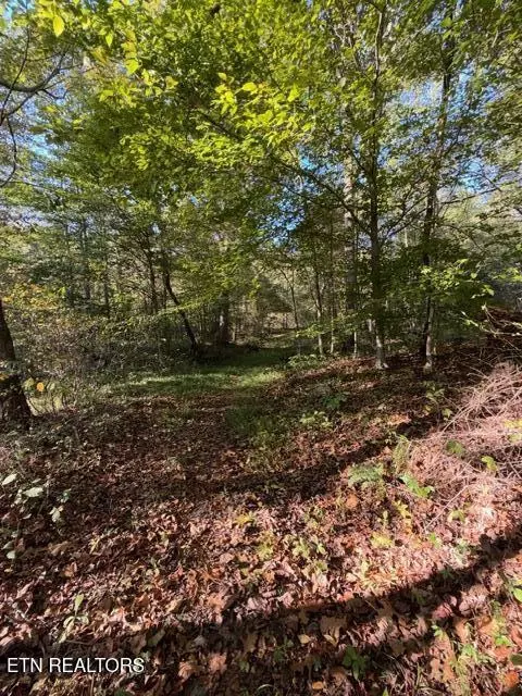739 Dry Branch Rd, Ewing, VA 24248 photo 15
