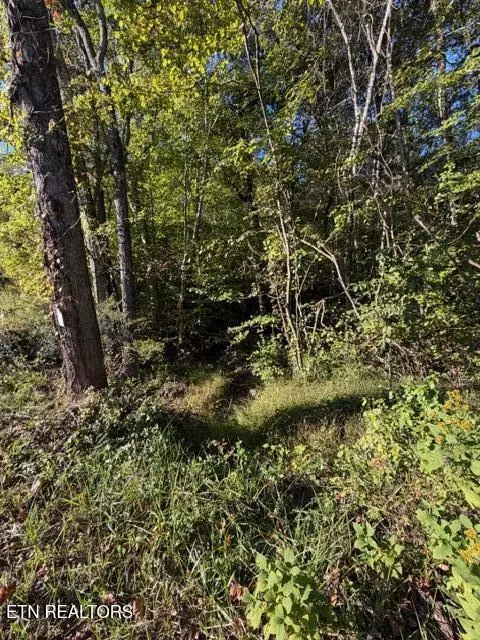 739 Dry Branch Rd, Ewing, VA 24248 photo 52