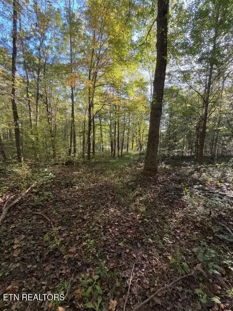 739 Dry Branch Rd, Ewing, VA 24248 photo 27