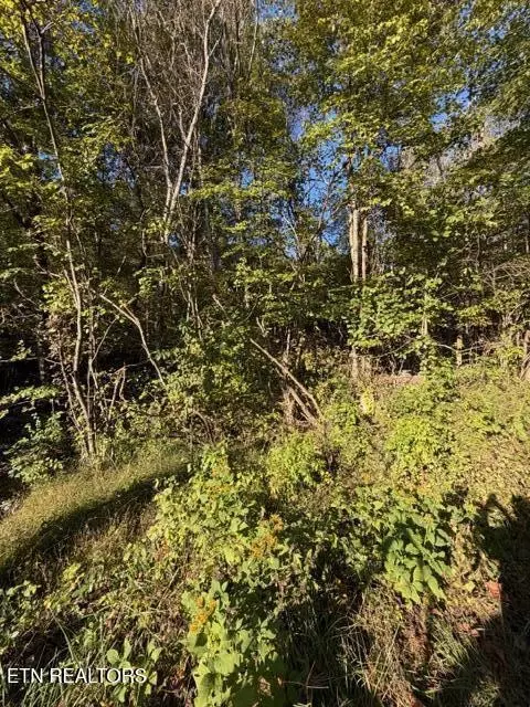 739 Dry Branch Rd, Ewing, VA 24248 photo 53