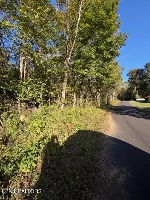 739 Dry Branch Rd, Ewing, VA 24248 photo 51