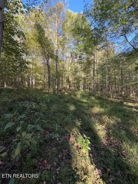 739 Dry Branch Rd, Ewing, VA 24248 photo 19