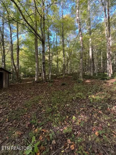 739 Dry Branch Rd, Ewing, VA 24248 photo 25