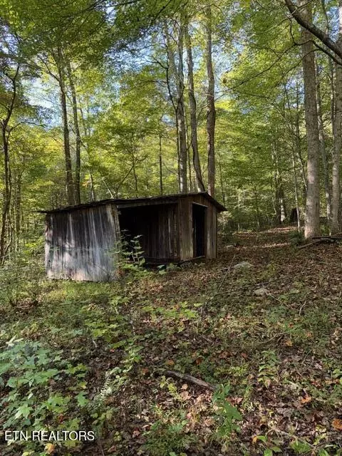 739 Dry Branch Rd, Ewing, VA 24248 photo 22