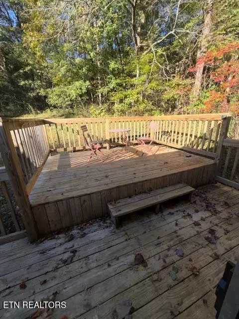 739 Dry Branch Rd, Ewing, VA 24248 photo 45