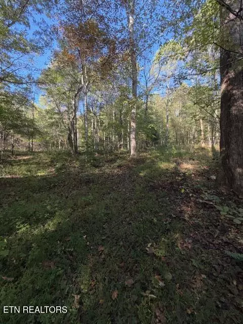 739 Dry Branch Rd, Ewing, VA 24248 photo 16