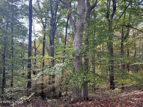 0 Brady Rd, Newport, TN 37821