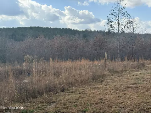 6 25 Acres Valerie Dr, Deer Lodge, TN 37726