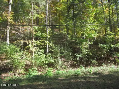 Long Acres, Blaine, TN 37709