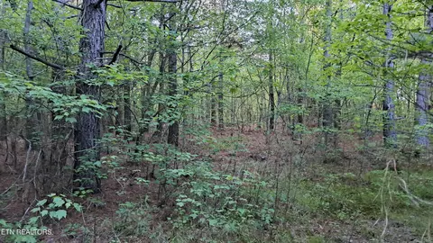 19 Airport Road, Rockwood, TN 37854