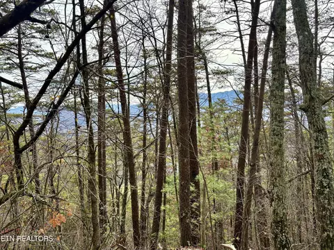 lot36 R Mountain Retreat Rd, Townsend, TN 37882