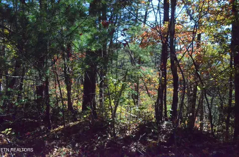 lot28 R Mountain Retreat Rd, Townsend, TN 37882