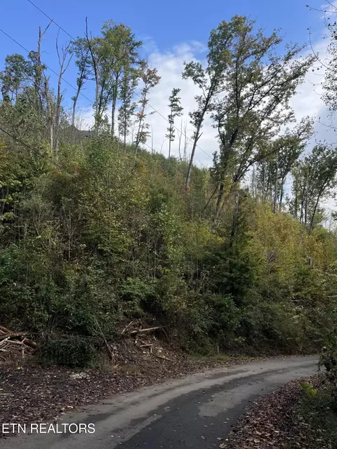 lot529 Deep Hollow Rd, Gatlinburg, TN 37738