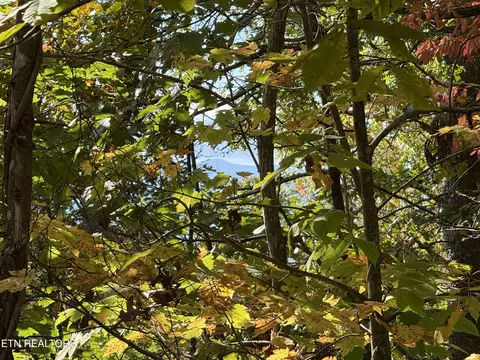 Old Mtn Rd, Sevierville, TN 37876
