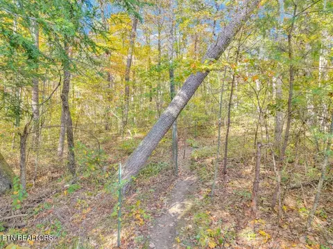 908 Riverchase Tr, Clarkrange, TN 38553 photo 38