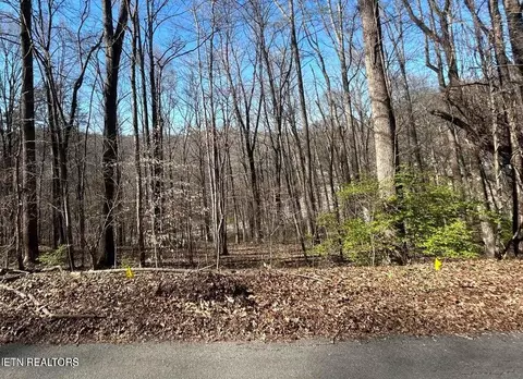 206 Cumberland Vw, Rocky Top, TN 37769