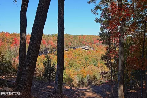 lot17 Emerald Dr, Jamestown, TN 38556