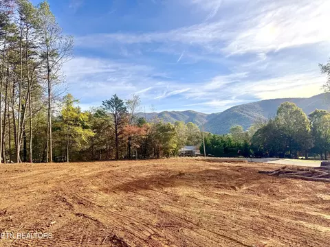 lot3 Peachie Way, Cosby, TN 37722