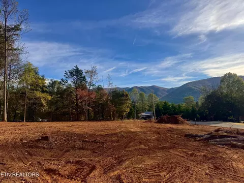 lot4 Peachie Way, Cosby, TN 37722