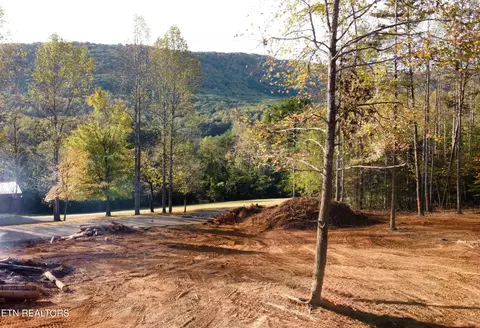 lot4 Peachie Way, Cosby, TN 37722