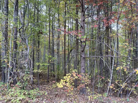 1 22 Acres Chuck Wagon Tr, Grimsley, TN 38565