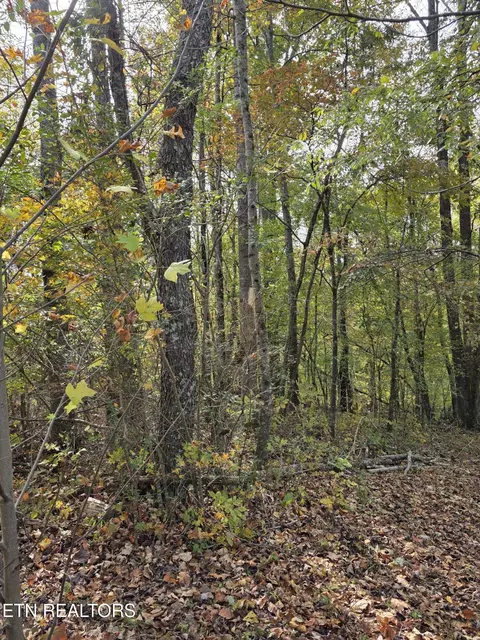 2310 Roseberry Rd, Mascot, TN 37806