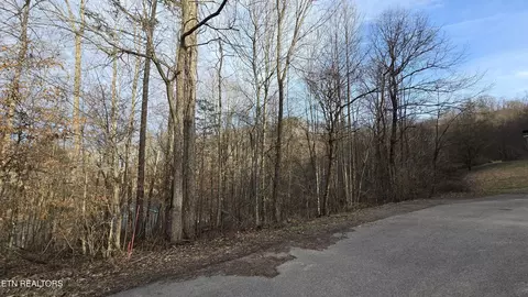 0 Lick Skillet Rd, Maynardville, TN 37807