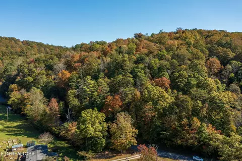 Strong Hollow Lane, Rocky Top, TN 37769