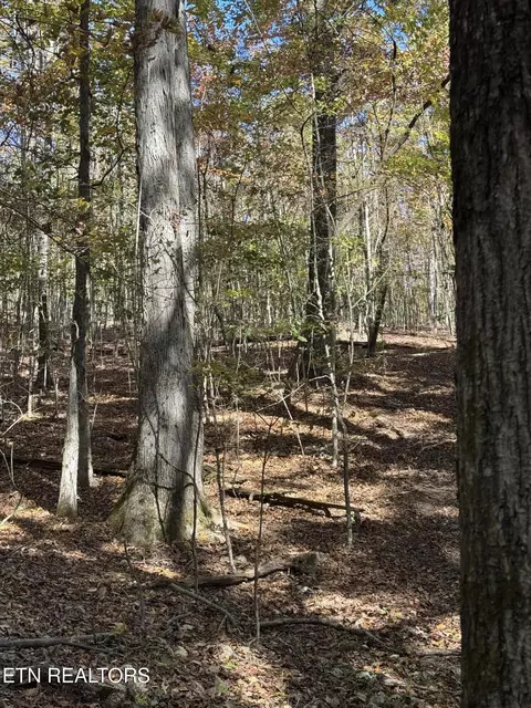 Irene Lane, Loudon, TN 37774