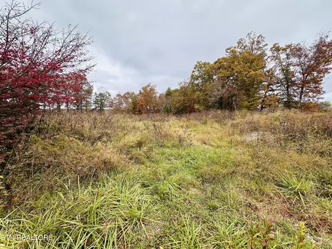 4 14 Acres Nashville Hwy, Deer Lodge, TN 37726