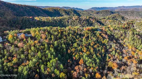 Bear Den Rd, Townsend, TN 37882 photo 17