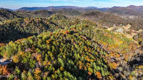 Bear Den Rd, Townsend, TN 37882 photo 15