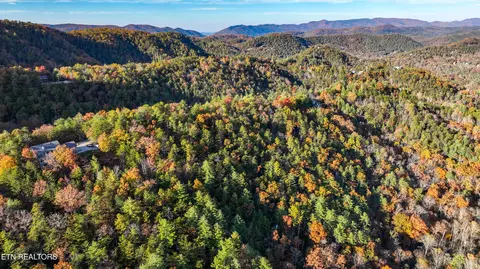 Bear Den Rd, Townsend, TN 37882 photo 16