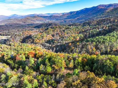Bear Den Rd, Townsend, TN 37882 photo 2