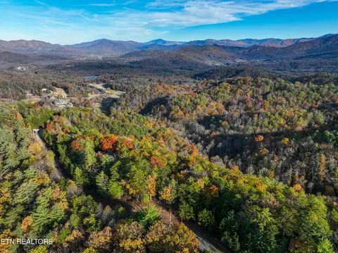 Bear Den Rd, Townsend, TN 37882 photo 12