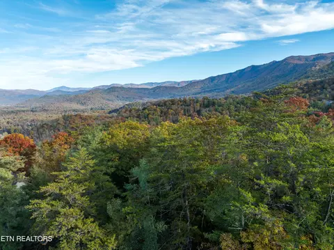 Bear Den Rd, Townsend, TN 37882 photo 9
